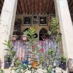 Librería Niña Oscura | Ciudad de México, México